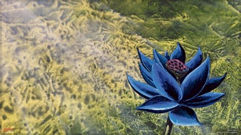 black lotus.